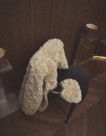 ��ǰ ������